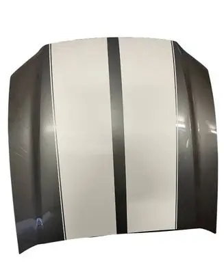 Ford Mustang V Engine bonnet/hood 3316854 EW7E9C485YCL