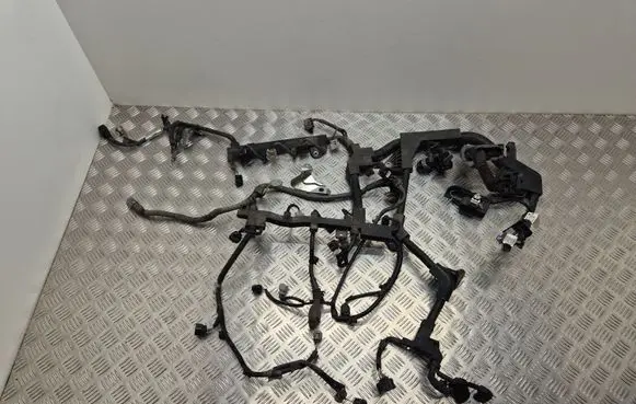 Engine installation wiring loom