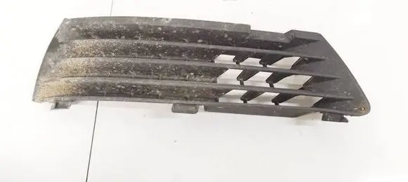 Front bumper lower grill