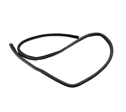 Dodge Charger Rear door rubber seal (on body) 