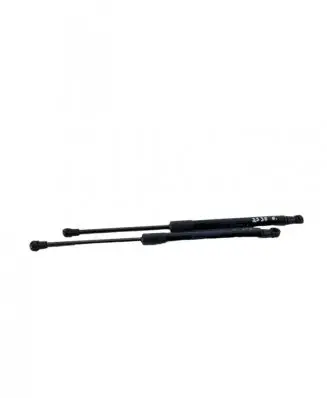 Renault Twingo II Tailgate/trunk strut/damper 8200385560
