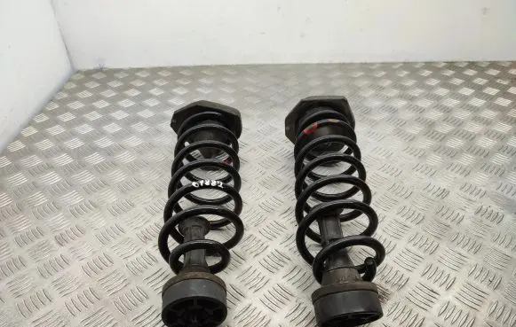 Renault Kadjar Rear coil spring