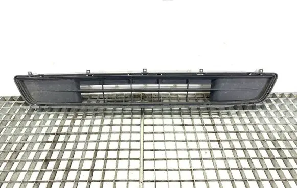 Ford Mustang VI Front bumper lower grill FR3B-17K945-CE