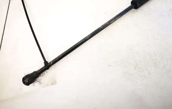 Peugeot 206 Tailgate/trunk strut/damper 9631441380