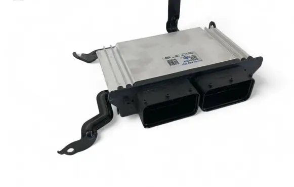 Engine control unit/module ECU