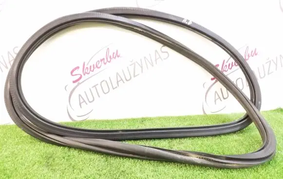 Volkswagen T-Roc Front door rubber seal