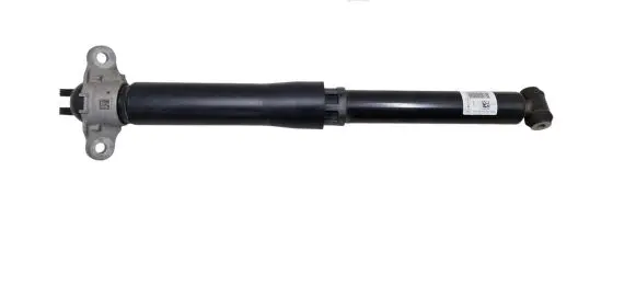 Ford Escape IV Rear shock absorber/damper LX6118080 LX6118080NBH LX6118A116