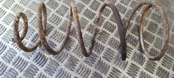 Fiat Punto (176) Front coil spring