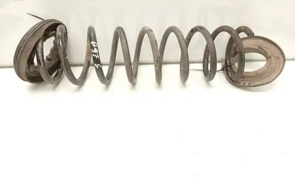 Rear coil spring