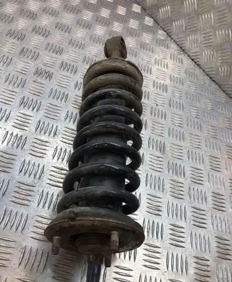 Nissan Pathfinder R51 Front shock absorber/damper