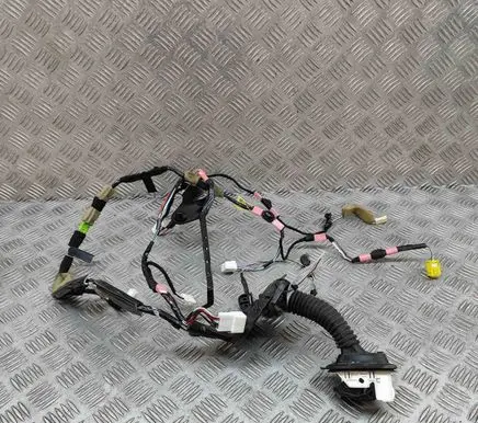 Front door wiring loom