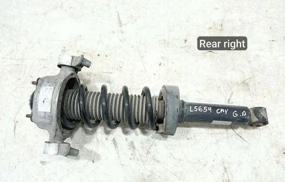 Porsche Cayenne (92A) Rear shock absorber/damper 