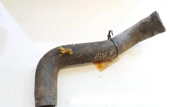 Nissan Almera Tino Engine coolant pipe/hose