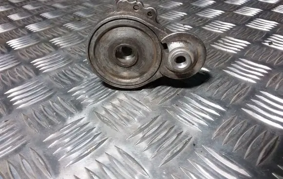 Peugeot 407 Generator/alternator belt tensioner