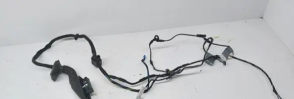 BMW X1 E84 Front door wiring loom 9191420