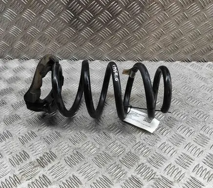Tesla Model Y Rear coil spring 118847900A