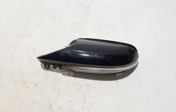 BMW X1 F48 F49 Mirror indicator light 7493898