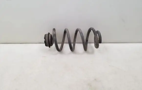 Nissan Qashqai Rear coil spring