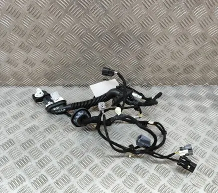 Ford Mustang Mach-E Other wiring loom LJ8T14632NBG