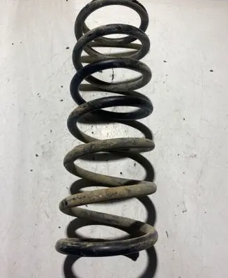 Rear coil spring