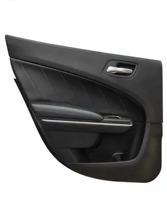 Dodge Charger Rear door card panel trim 5PE991X9AD L0200072DX9AE