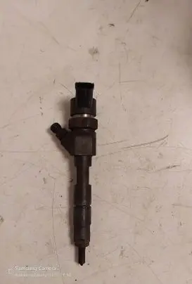 Renault Scenic II - Grand scenic II Fuel injector 0445110110B