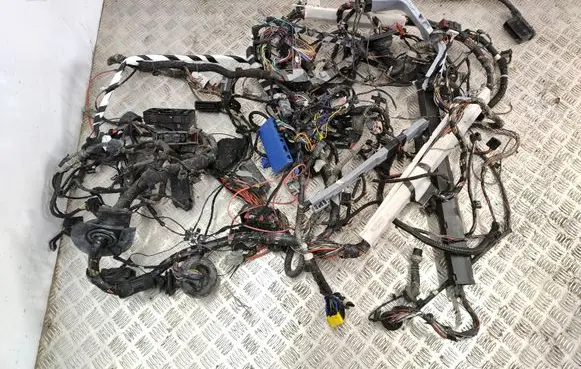 Opel Astra H Other wiring loom 13244194 61655170G 401100