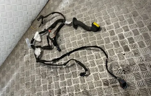 Renault Trafic II (X83) Front door wiring loom