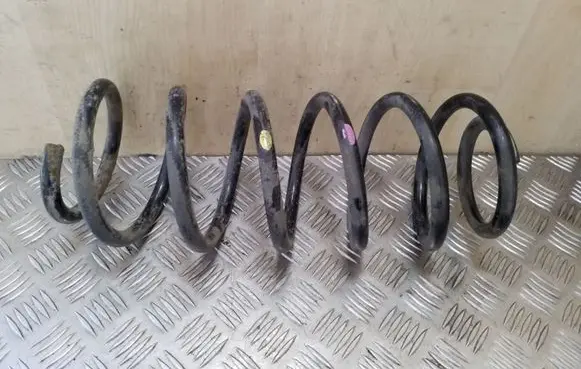Opel Antara Front coil spring
