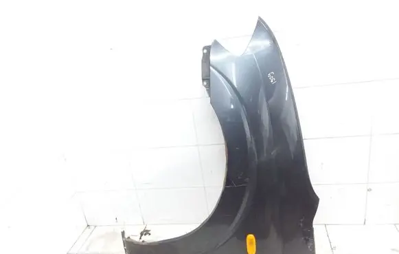 SsangYong Rodius Fender