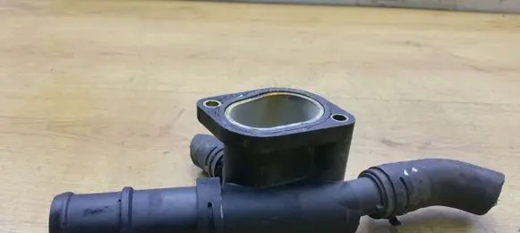 Thermostat/thermostat housing