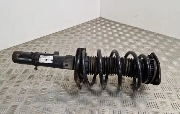 Ford Transit - Tourneo Connect Front shock absorber/damper DV6118045AC