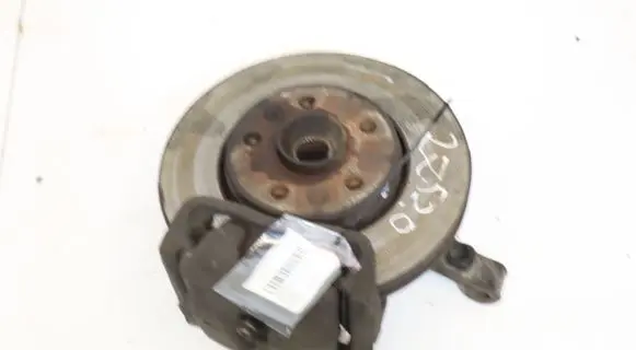 Renault Kangoo II Front wheel hub spindle knuckle
