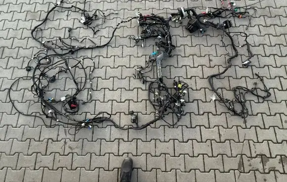 Renault Clio V Wiring harness 