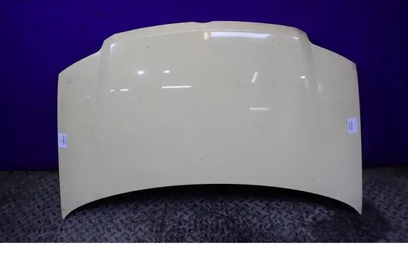 Engine bonnet/hood