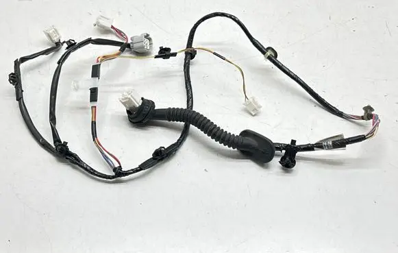 Rear door wiring loom
