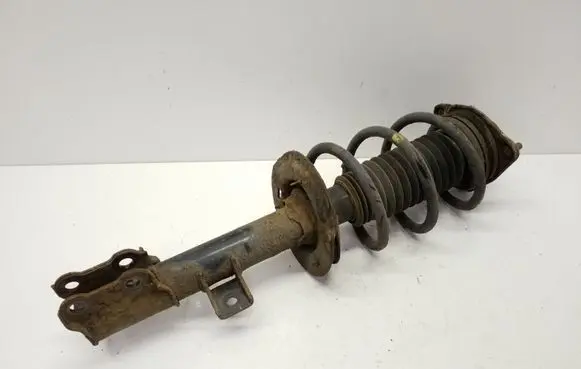 Front shock absorber with coil spring