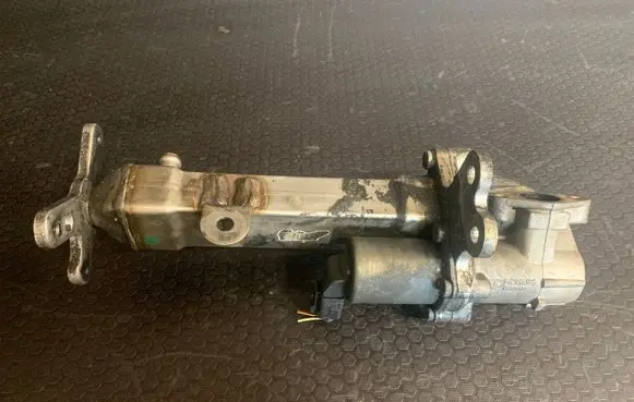 EGR valve cooler
