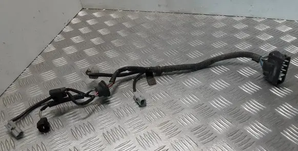 Lexus IS 220D-250-350 Other wiring loom