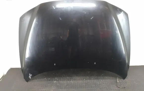 Engine bonnet/hood