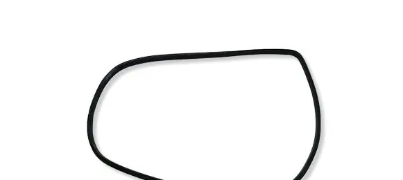 Honda Civic IX Rear door rubber seal (on body) 