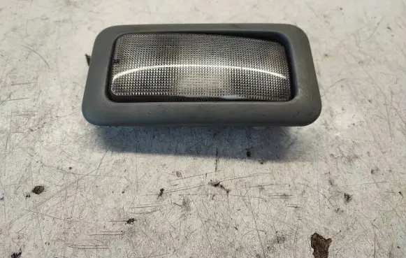 Rear seat light