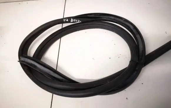 Toyota Urban Cruiser (XP110) Rubber seal front coupe door 