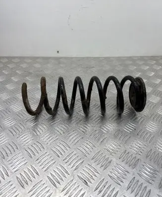 Rear coil spring