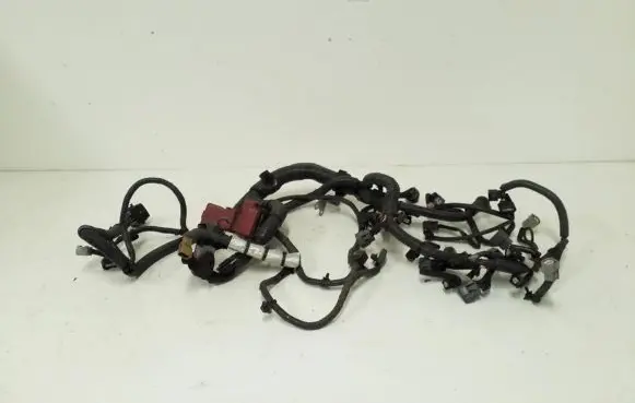 Engine installation wiring loom