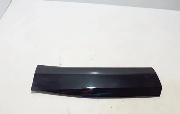 Rear door trim (molding)