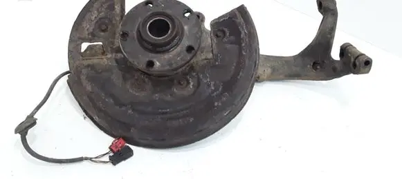 Volkswagen PASSAT B5.5 Front wheel hub spindle knuckle