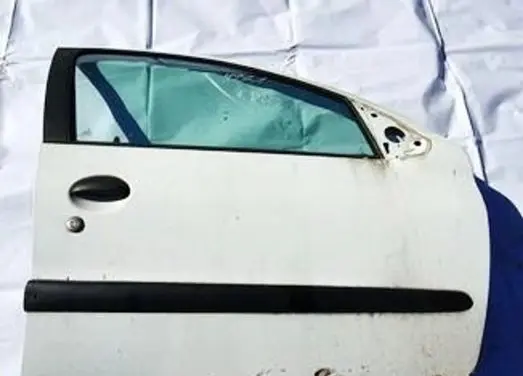 Peugeot 206 Front door baltos