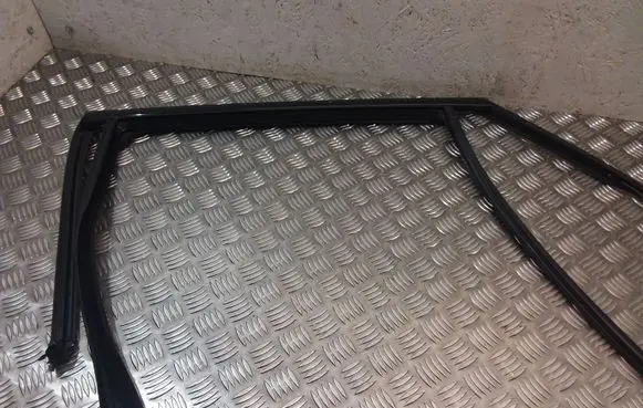 BMW X6 F16 Rubber seal rear door window/glass 