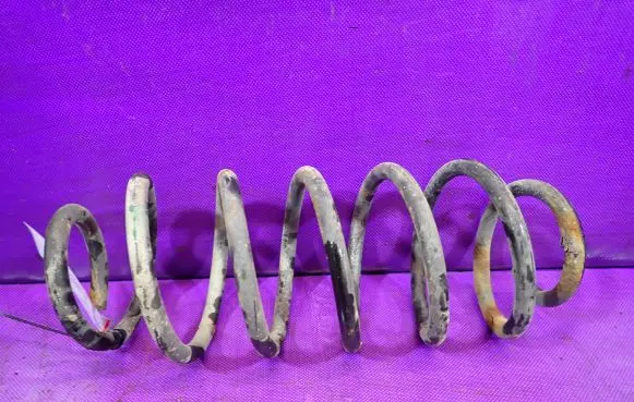 Rear coil spring
